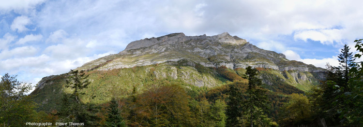 Le versant Sud-Ouest du massif du Pic de Ger (Pyrénées Atlantiques) montrant la discordance Crétacé supérieur / granite hercynien