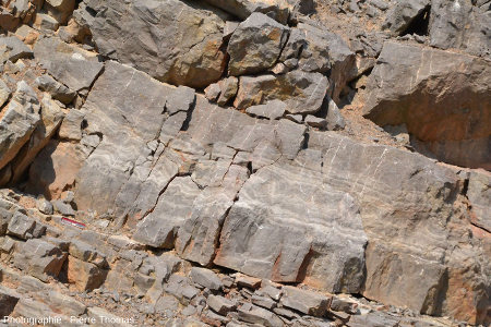 Vue générale sur la partie centrale de la section d'une couche stromatolithique au sein des calcaires viséens de la Carrière du Boulonnais