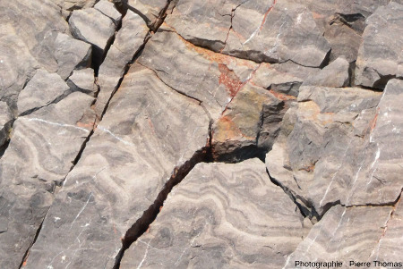 Partie centrale de la section d'une couche stromatolithique au sein des calcaires viséens de la Carrière du Boulonnais