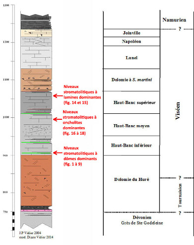 Localisation des principaux niveaux stromatolithiques photographiés ici dans les carbonates carbonifères du Boulonnais