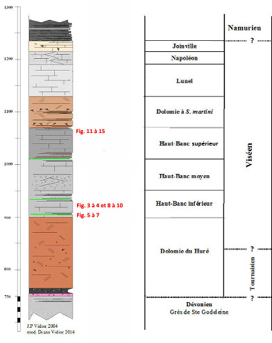 Log stratigraphique de la Carrière du Boulonnais et localisation des photos de cet article