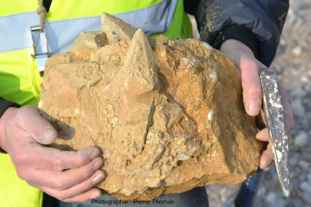 Échantillon brut de cristaux de calcite ramassé au pied du front de taille ci-dessus, Carrière du Boulonnais (Pas de Calais)