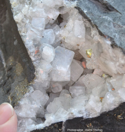 Autres cristaux de calcite de morphologies variées, Carrière du Boulonnais (pas de Calais)
