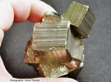 Échantillon de pyrite (FeS2) formé de plusieurs cubes s'interpénétrant (macle)