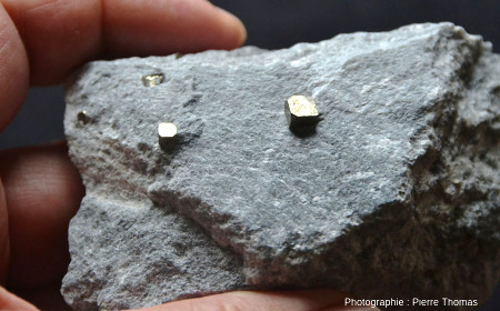 Cubo-octaèdres de pyrite au sein du talc de Trimouns (Ariège)