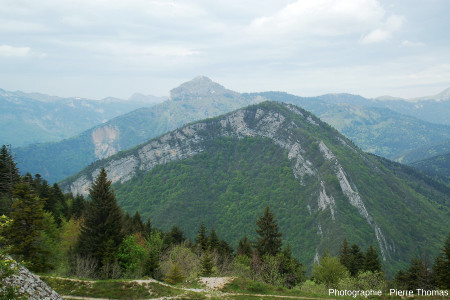 L'anticlinal conforme de l'Écoutoux vu depuis le sommet du Mont Saint Eynard