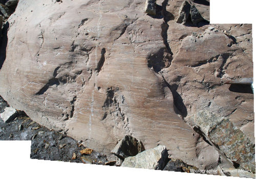 Détail de la face polie et striée de la paroi du glacier de Saint Sorlin et du contact paroi / glace avec blocs rocheux