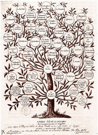 Exemple d'arbre non emprunté aux SVT montrant la puissance des préjugés qui veulent qu'"on" soit hiérarchiquement supérieur aux autres : l'arbre généalogique des langues tel qu'on pouvait l'établir au début du XIXème siècle