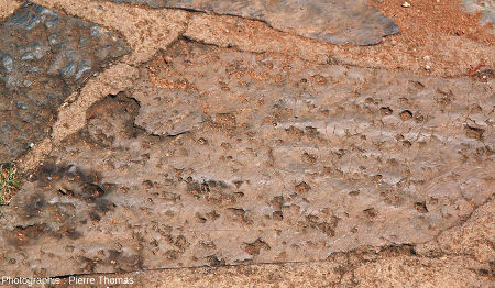 Autre dalle à empreinte de cristaux de sel du chemin de Bourke's Luck Potholes , canyon de la Blyde River, Afrique du Sud