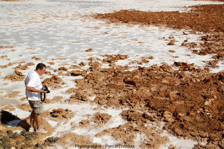 Détail de la limite entre le lac salé et les sables argileux émergés de ce lac situé à l'Est de l'oasis de Siwa, Égypte