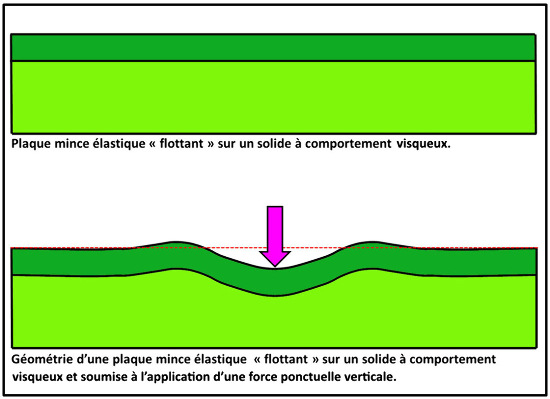 Géométrie d'une plaque mince élastique soumise à l'application d'une force ponctuelle dirigée vers le bas (flèche violette)