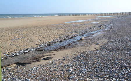 Banc de tourbe photographié sur la plage de Sangatte (Pas de Calais) le 13 avril 2014