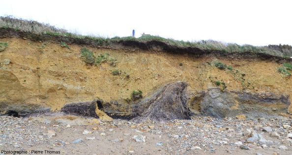 Vue d'ensemble du principal affleurement d'argiles tourbeuses de la plage de Trez-Rouz (Crozon, Finistère)