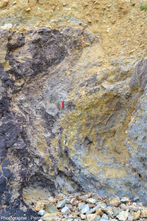 Zoom sur le diapir et sa relation avec les argiles jaunes, plage de Trez-Rouz (Crozon, Finistère)