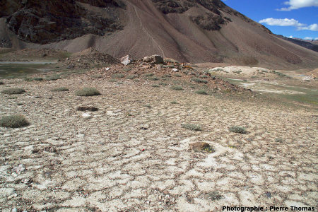 Sols polygonaux pluri-décimétriques affectant un remplissage alluvial d'une vallée himalayenne, au Nord du Baralach La, sur la Leh-Manali Highway, Ladakh (Inde)
