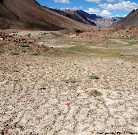 Vue générale des sols polygonaux pluri-décimétriques affectant un remplissage alluvial d'une vallée himalayenne, Ladakh, Inde