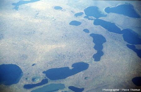 Groupe de trois pingos (partie inférieure de la photo) au milieu de lacs et de sols polygonaux, Ouest de l'embouchure de la Kolyma (Sibérie)