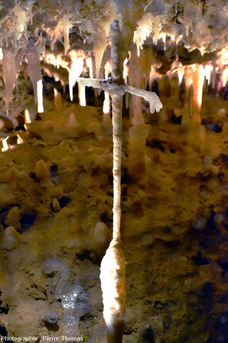 Excentriques, ou hélictites, formant un crucifix, grotte du Grand Roc, les Eyzies-de-Tayac, Dordogne