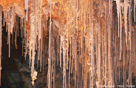 Excentriques croissant sur des stalactites usuels, grotte de Clamouse, Hérault