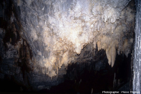 Vue globale sur le grand lustre de la grotte de Limousis (Aude)