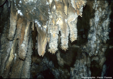 Aragonite sur des stalactites de la grotte de Limousis (Aude)