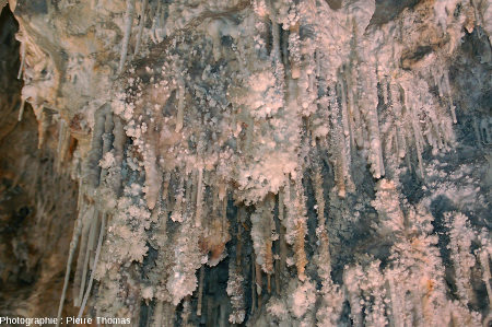 Stalactites recouverts d'aragonite dans la grotte de Clamouse (Hérault)