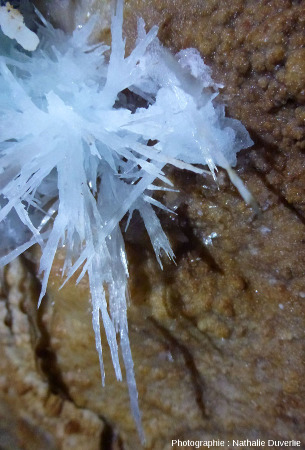 Gerbe de cristaux d'aragonite bleue, aven des Crozes (Hérault)