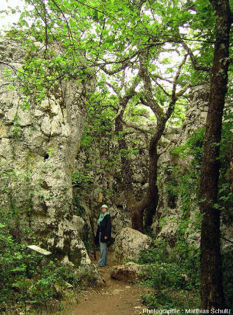 En parcourant des diaclases peu élargies, formant de véritables couloirs ou canyons dans le Bois de Païolive (Ardèche)