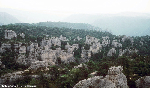 Méga-lapiaz sur calcaire dolomitique du Jurassique moyen, Montpellier le Vieux (Lozère)