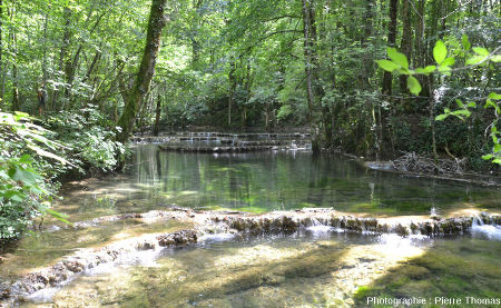 Barrages de travertin et gours sur le cours supérieur de la Cuisance, Reculée des Planches (Jura)