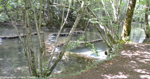 Barrages de travertin et gours sur le cours supérieur de la Cuisance, Reculée des Planches (Jura)