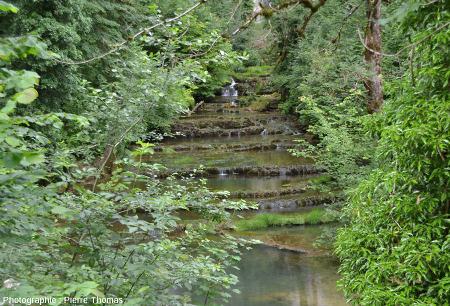 Le cours supérieur du Dard, au fond de la Reculée de Baume-les-Messieurs, une centaine de mètres en aval de la source du Dard et en amont de la cascade du Dard