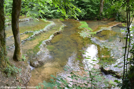 Autre aspect du cours supérieur du Dard, au fond de la Reculée de Baume-les-Messieurs, une centaine de mètres en aval de la source du Dard et en amont de la cascade du Dard