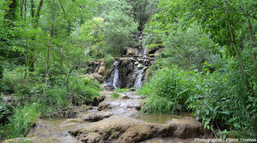 Une autre "coulée de travertin" déposée par un bras du Dard, aval de la Cascade du Dard (Jura)