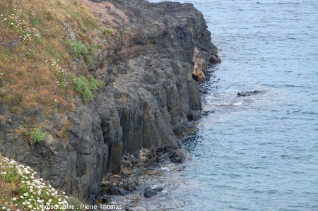 Zoom sur la coulée inférieure faite de prismes basaltiques sur la face Nord-Ouest de la Pointe Nègre, Six-Fours-les-Plages (agglomération de Toulon, Var)