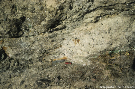 Vue rapprochée sur les brèches andésitiques contenant un morceau de bois carbonisé, Nord de Collongues (Alpes Maritimes)