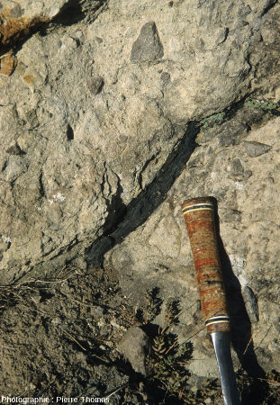 Vue rapprochée sur les brèches andésitiques contenant un morceau de bois carbonisé, Nord de Collongues (Alpes Maritimes)