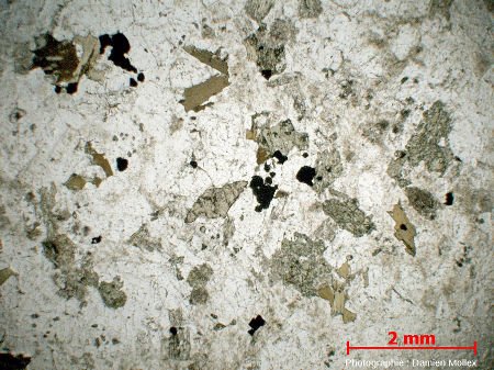 Lame mince en lumière polarisée non analysée (LPNA) de la diorite de Traversella