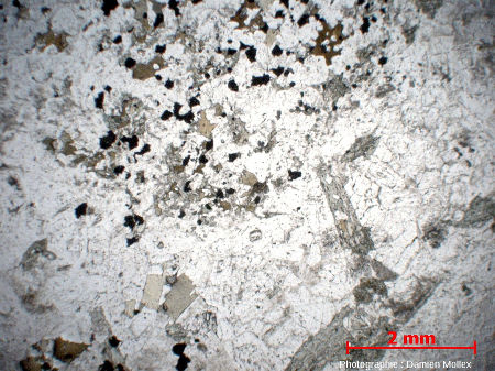 Lame mince (LPNA) de diorite de Traversella, à cheval sur deux faciès sombre/clair