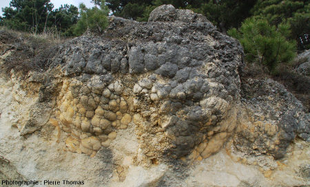 D'autres boules de la couche principale : une grosse boule stromatolithique cernée de deux plus petites boules (Jussat)