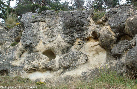 Vue sur le niveau principal à "boules" sphériques de taille relativement identique (1 m de diamètre) et sur des stromatolithes situées 2 m plus bas (falaises de Jussat)