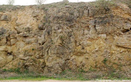 Colonne stromatolithique, carrière du Mont Libre (Gannat, Allier)