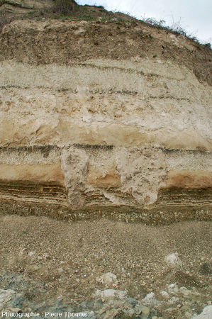 Vue d'ensemble sur deux stromatolithes en forme de colonnes