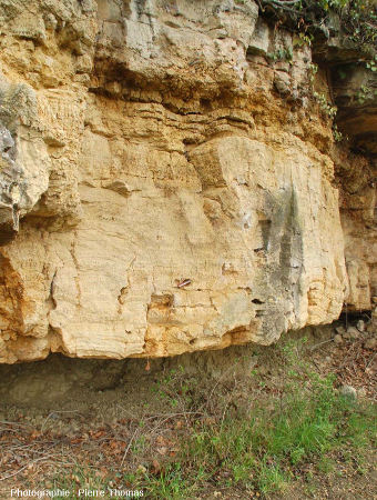 Vue sur cette falaise stromatolithique de Chadrat, affleurant ici sur une dizaine de mètres de longueur
