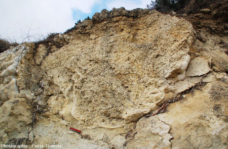 Section d'une boule stromatolithique de Jussat (Puy de Dôme)