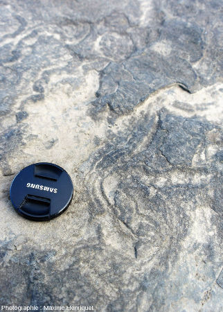Zoom sur des traces fossiles dans cette dalle sommitale des falaises de Moher (Irlande)