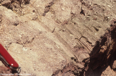 Zoom sur les stries engendrées par la progression de la coulée et de sa base scoriacée sur les sédiments argilo-sableux oligocènes en train de se faire métamorphiser