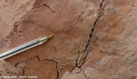 Détail sur la zone la plus argileuses transformée en "brique naturelle", improprement appelée "porcelanite" dans les vieux livres de géologie auvergnate