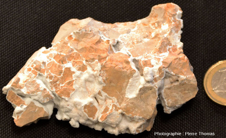 Échantillon particulièrement riche en fractures et mini-géodes tapissées de dépôts hydrothermaux blancs, ancienne carrière des Bas de Boisséjour