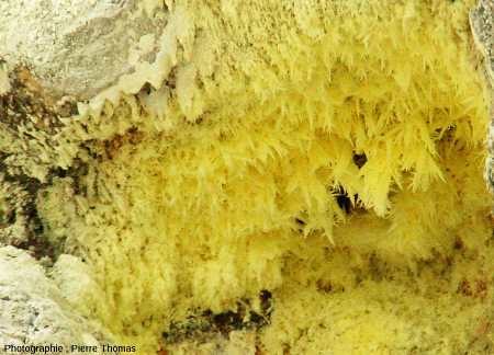 Cristallisations de soufre tapissant évents ou fissures du Vulcano (Iles Éoliennes, Italie)